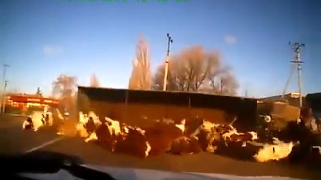 Коровы упали смотреть онлайн