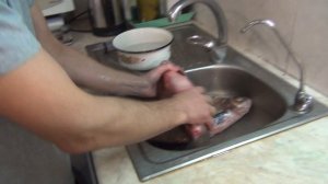 Как правильно засолить крупную рыбу. Вяленый Лещ !