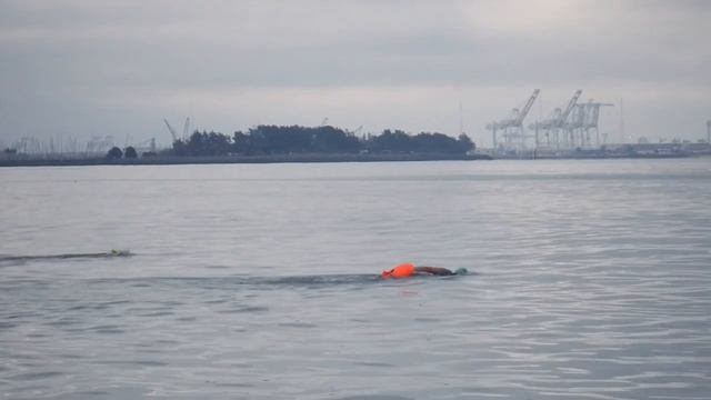October 30 Odyssey Sunday Berkeley Swim Video смотреть онлайн