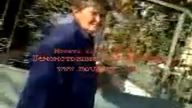 we are veterinarians мы ветеринары смотреть онлайн