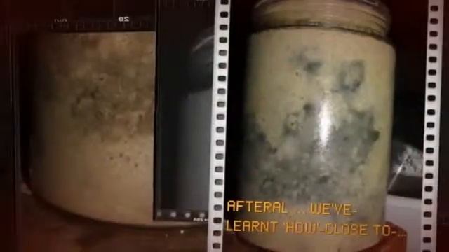 MYCOTROPHY / HUMUS / WINOGRADSKY &-METHANE!!! (*U^) смотреть онлайн