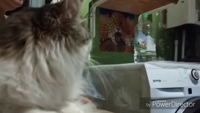Гуляем и ломаем стиральную машинку))) смотреть онлайн