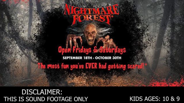 Kids React To NIGHTMARE FOREST - Haunted House (Sound Footage) смотреть онлайн