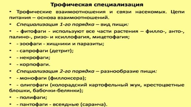 Брагина Т.М.Введение в энтомологию.Брюшной отдел насекомых. Внутреннее строение насекомых. смотреть онлайн