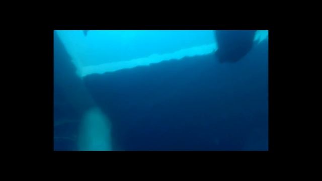 Trip to Kaoshiung and Kenting, Taiwan Vlog смотреть онлайн