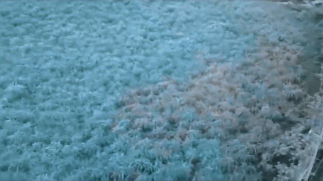 #inundaciones inundaciones Europa continua inundandose Se forma cadena humana para cruzar rio смотреть онлайн