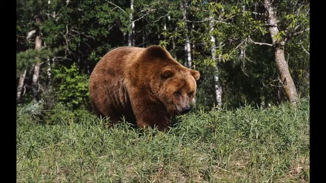 Забытое Стихотворение Игоря Жданова смотреть онлайн