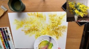 Мимоза акварелью