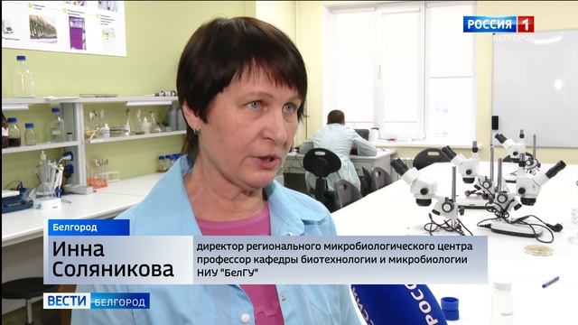 Белгородские учёные выделили полезные свойства штаммов бактерий смотреть онлайн