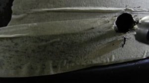 КАК УСТАНОВИТЬ ПАРКТРОНИК НА РЕНО ДАСТЕР