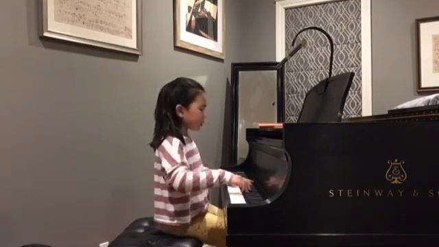 Chopin Waltz, Op.69 No.2 in B minor смотреть онлайн