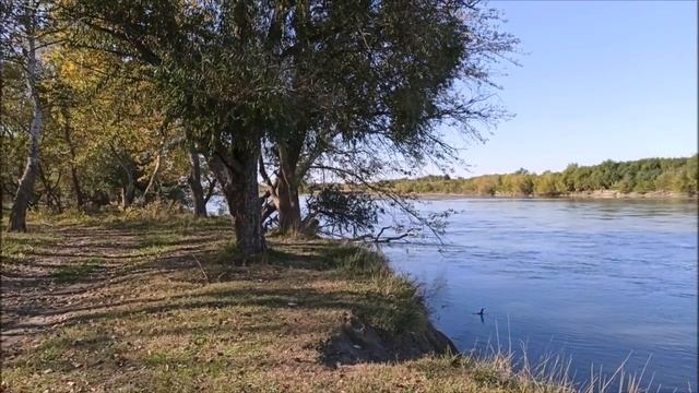 Река Терек у села Виноградное (полчаса от Грозного) | октябрь 2019, туризм в Чечне смотреть онлайн