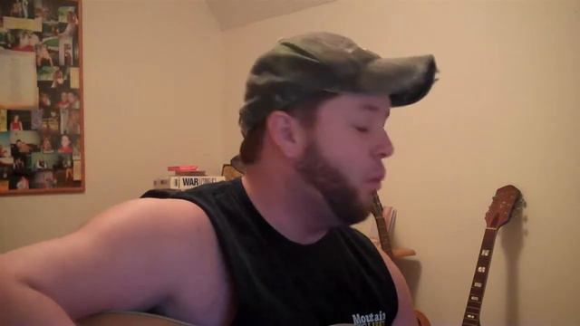 Mark Baldwin - 4 Walls of Raiford Cover Lynyrd Skynyrd смотреть онлайн