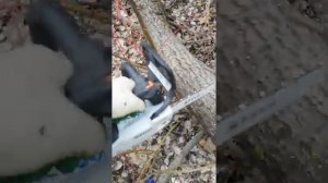 Бензопила stihl ms 150tc