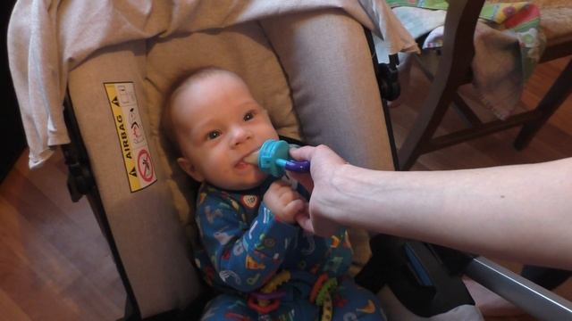 Ниблер. Младенец ест грушу через ниблер - соску с дырками. смотреть онлайн