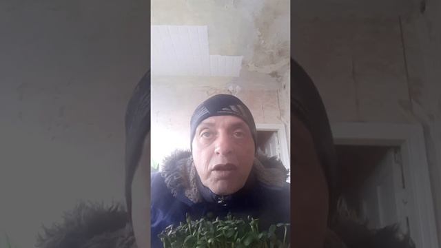 Как легко выходить из трудных жизненных ситуаций? смотреть онлайн