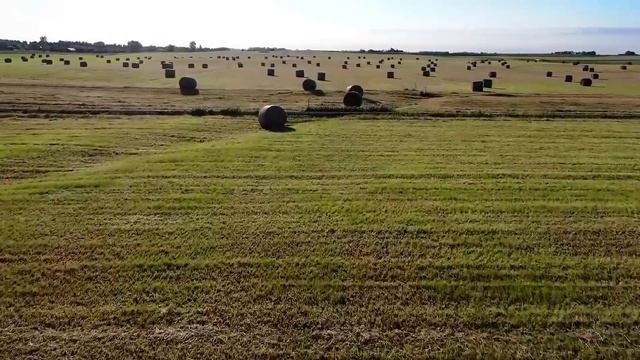 MUSICA DE PELICULAS FAMOSAS - MUSICA ORQUESTADA DE PELICULAS DEL RECUERDO - Melodías del recuerdo смотреть онлайн