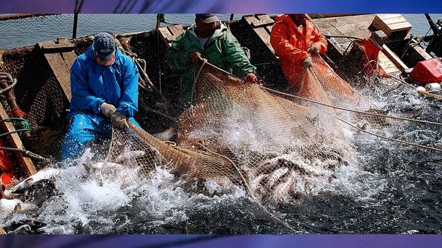 § 10 "Экономические системы", Обществознание 8 класс смотреть онлайн