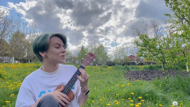 Adventure Time - Everything Stays but we actually go in the garden (ukulele cover) смотреть онлайн