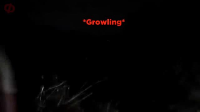 15 СТРАШНЫХ ВИДЕО В КОТОРЫЕ НЕВОЗМОЖНО ПОВЕРИТЬ смотреть онлайн