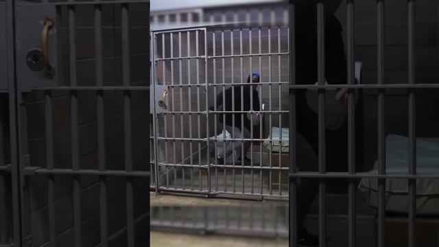 Дерзкий побег из камеры! смотреть онлайн