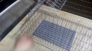 Клетки для кроликов от А до Я своими руками с чертежами подробно.