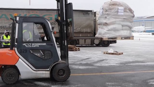 Жители Газы получат 30 тонн помощи от России смотреть онлайн