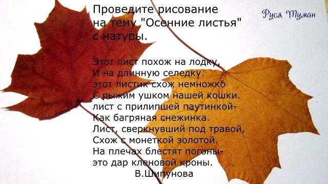 Учим рисовать детей 5 - 6 летнего возраста смотреть онлайн