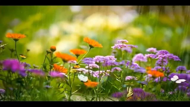 МАНТРА Исцеления Будьте здоровы смотреть онлайн