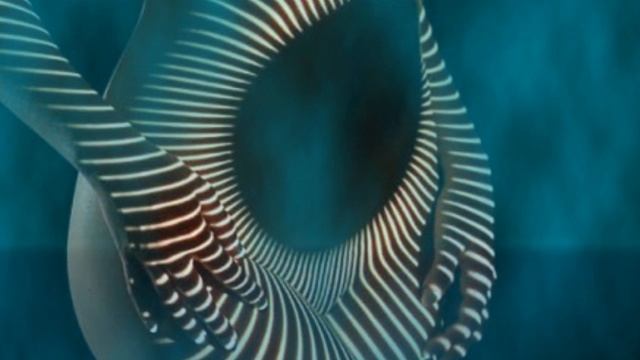 МузШоу *Тебя прощаю, любовь не простит* текст, монтаж Натали Афанасьева смотреть онлайн