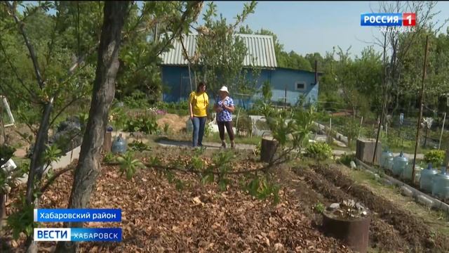 Смотрите в 21:05. Ставка на эксперименты: садоводы и огородники Хабаровского края открыли сезон смотреть онлайн