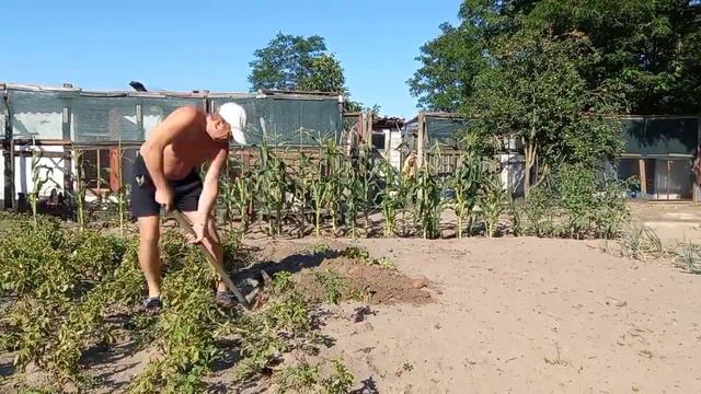 Кто не работает тот ест , или наоборот? смотреть онлайн