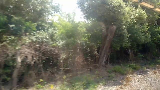 поездка на электричке севастополь симферополь смотреть онлайн