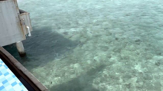 Отель OBLU ATMOSPHERE AT HEIENGELI MALDIVES атолла Северный Мале смотреть онлайн