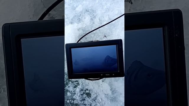 Самодельная камера для зимней рыбалки первый лёд. смотреть онлайн