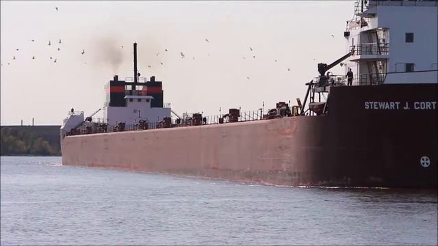 Stewart J. Cort - Departure from Superior - September 2017 смотреть онлайн