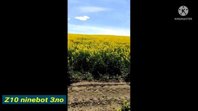 Z10 ninebot Зло и Рапс смотреть онлайн