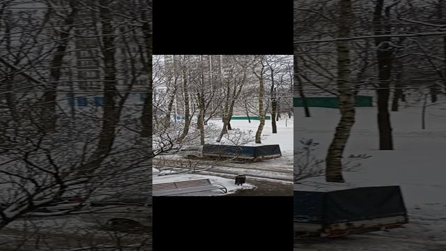 VID_20221230_114502.mp4 смотреть онлайн