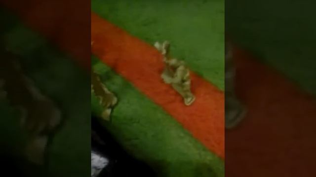 Город лебедянь смотреть онлайн
