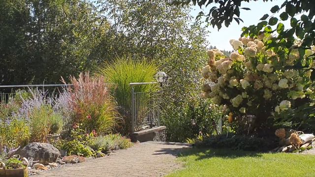 Эволюционный уровень в астрологии Часть 1 смотреть онлайн