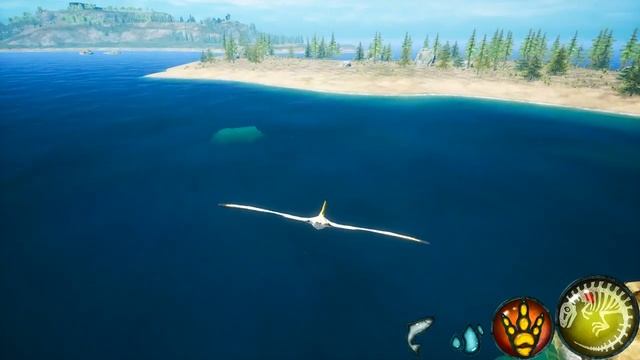 Beasts of Bermuda - Ptera Fishing смотреть онлайн