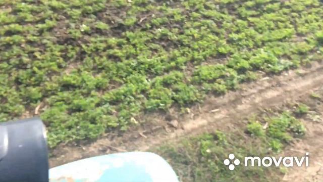 СОБИРАЮСЬ В ДАЛЬНЯК НА МУРАВЬЕ БЕЗ ПРАВ !!! ОЖИВЛЯЕМ МОНСТРА ПОСЛЕ ДОЛГОГО ПРОСТОЯ !!! смотреть онлайн