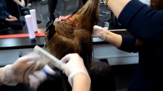 Термо реконструкция волос Botox Tokyo от Honma Tokyo смотреть онлайн