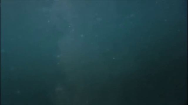 How to Save a Girl from a Shark смотреть онлайн