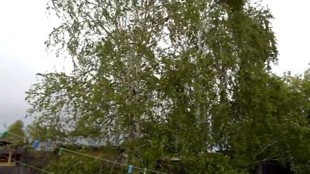 SAM 3314 смотреть онлайн