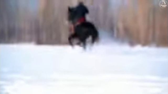 аспи фуруши