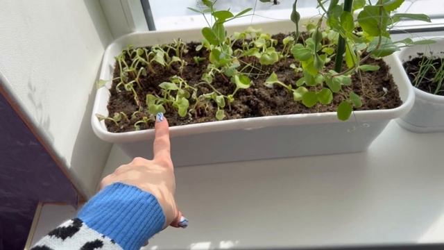 ОКРАШИВАНИЕ ВОЛОС | РЕМОНТ | ПОКУПКИ НА ВЕСНУ | ЧИТМИЛ смотреть онлайн