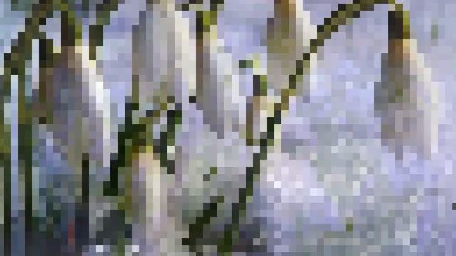 Весна_пришла!_С_первым_Днём_Весны!.mp4 смотреть онлайн