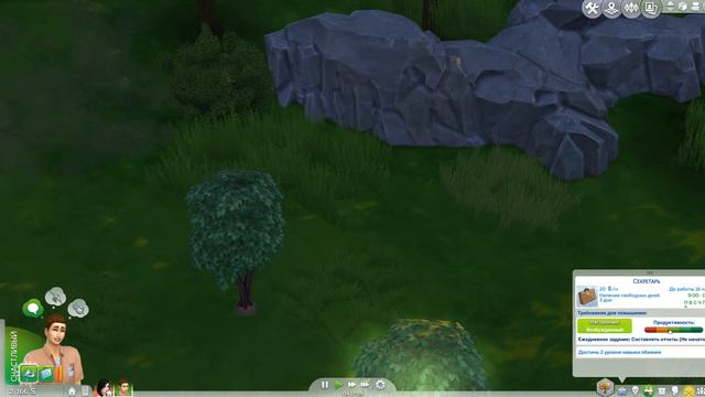 The Sims 4:Challenge 