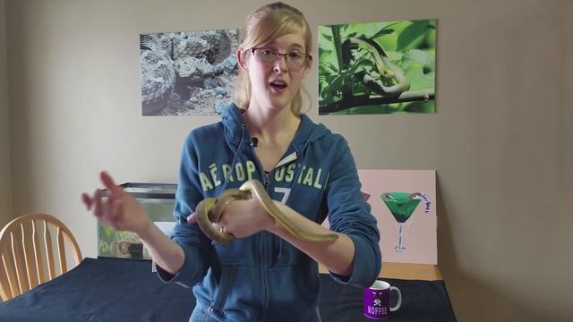 Con-Sub: Feeding Live vs Frozen Prey смотреть онлайн